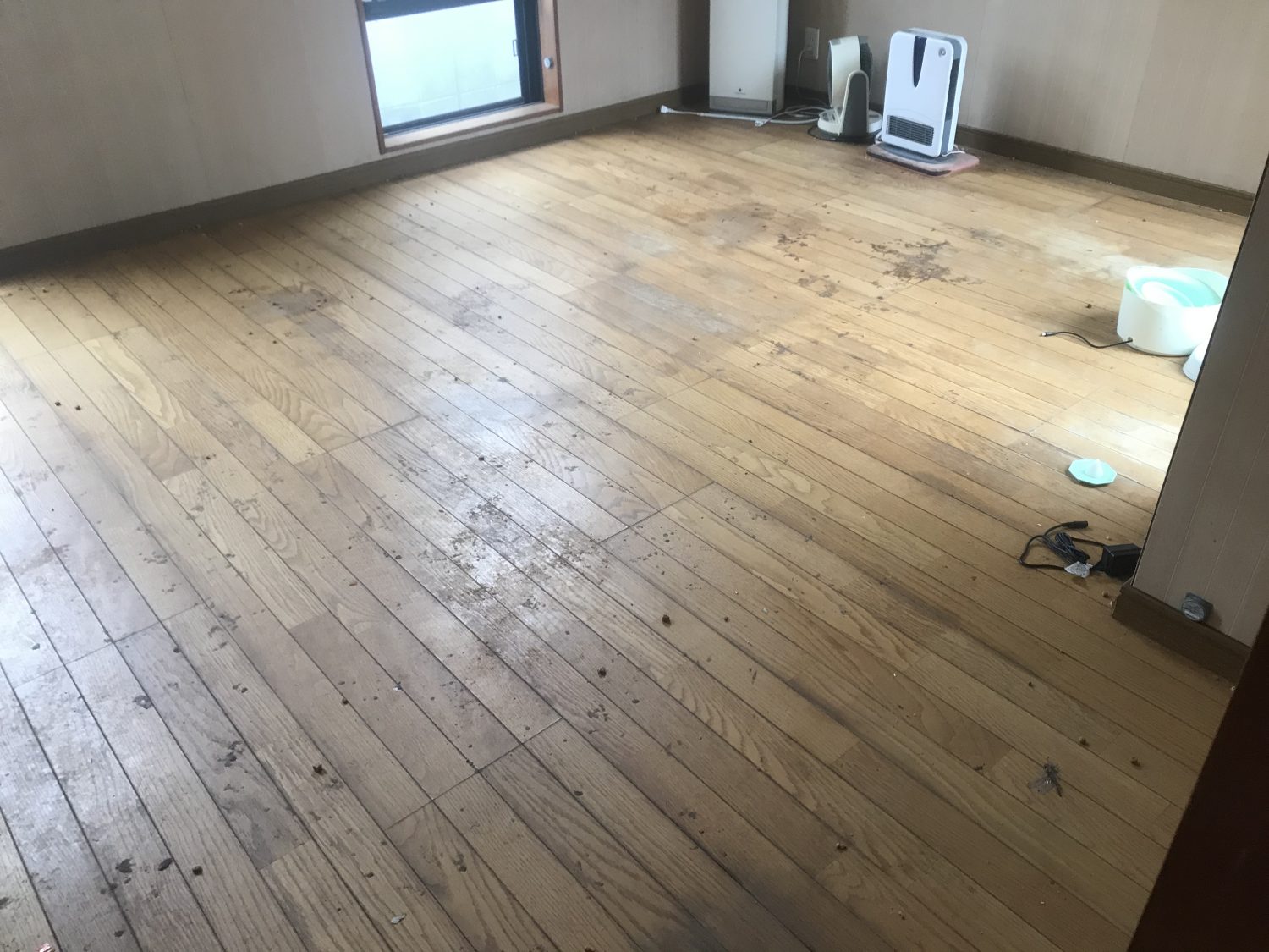 堺市中区でワンちゃんが過ごしていたお部屋の清掃相談を受けた施工現場