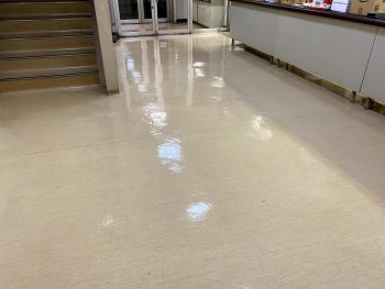 大阪市東住吉区　事務所の床清掃（剥離洗浄WAX仕上げ）・カーペット洗浄！