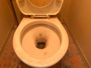 トイレ 尿石 黒ずみ ビフォー 掃除前 汚れ ひどい状態